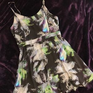 AEO Skater Dress